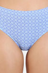 Zivame Anti-Microbial Medium Rise Full Coverage Hipster Panty (Pack of 3) - Multicolor — thumbnail 5